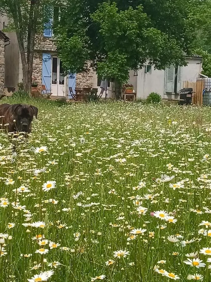 La Taniere Bed and Breakfast Champs-Sur-Tarentaine-Marchal